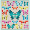 Lepidoptera Kit