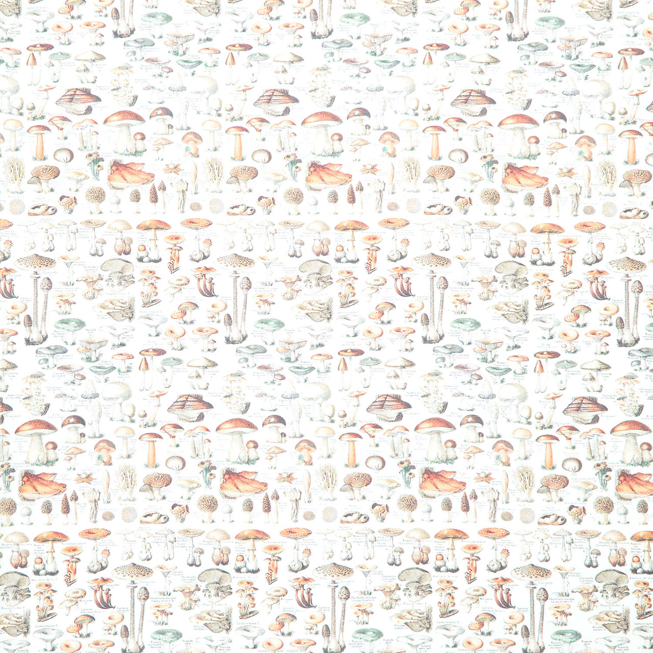 Eclectic Elements - Palette Orange Toadstools Orange Yardage