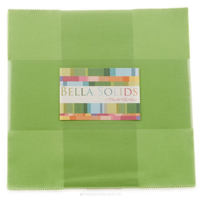 Bella Solids Lime Junior Layer Cake