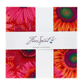 Kaffe Classics - Vineyard Colorway 10" Squares