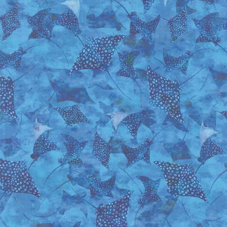 Calypso III - Stingrays Blue Yardage