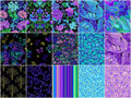 Luminous Fat Quarter Bundle Alternative View #2