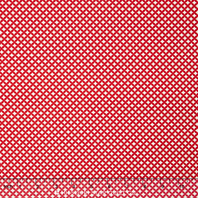 Raspberry Parlour - Geometric Red Yardage