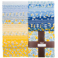 Sunshine Garden Ten Squares