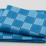 Common Threads - Plaid Blue 3 Yard Cut Primary Image