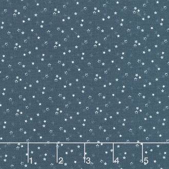 Snowman Gatherings IV - Snowy Night Night Sky Yardage