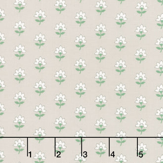Shoreline - Coastal Grey Yardage