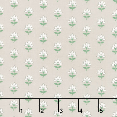 Shoreline - Coastal Grey Yardage