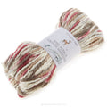 Baby Alpaca Grande Autumn Hand Dye Yarn