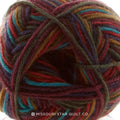 Regia Design Line Shadow Stripe Yarn