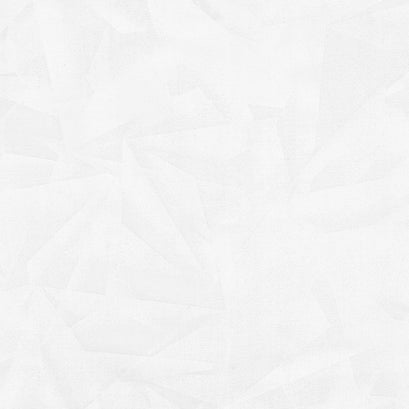 Quarry - Texture Pigment White 108" Wide Backing