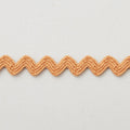 Lori Holt Vintage Ric Rac Small Trim - Cider 1/4" Primary Image