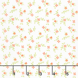 Cali and Co. - Vine and Bud Cloud Melon Yardage