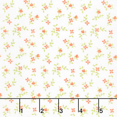 Cali and Co. - Vine and Bud Cloud Melon Yardage