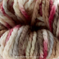 Baby Alpaca Grande Autumn Hand Dye Yarn