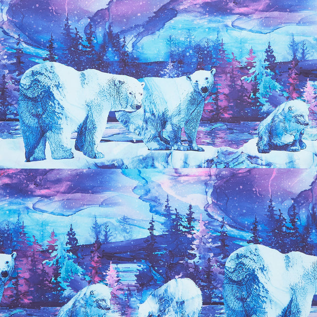 Illuminations - Polar Bear Border Stripe Blue Multi Yardage Primary Image