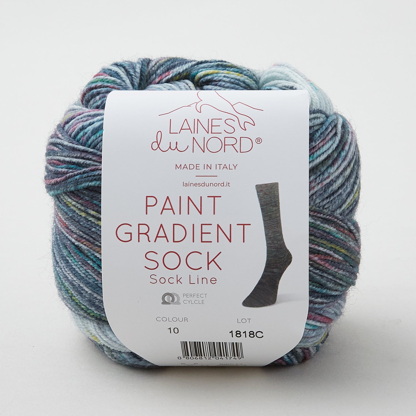 Laines Du Nord Paint Gradient Sock Yarn