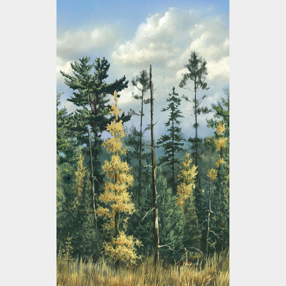 Naturescapes - Northwood Trees Border Green Multi Yardage