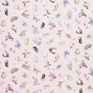 Whiskers & Paws - Cats Tossed Pale Pink Yardage Primary Image