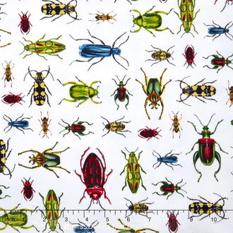 Everyday Favorites - Beetles/Bugs White Yardage