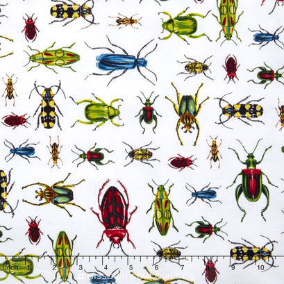 Everyday Favorites - Beetles/Bugs White Yardage