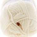 Encore Worsted Ecru Yarn 100g