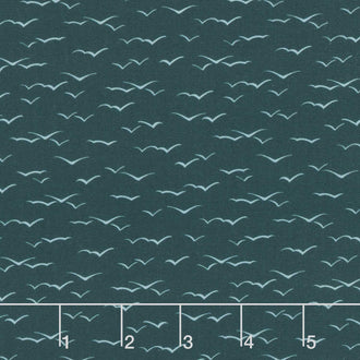 Pirates Ahoy - Waves Teal Yardage