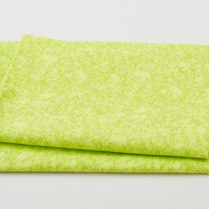 Hadleigh Favorites - Tonal Green 2 Yard Cut