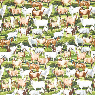 Novelty - Goats Green Yardage