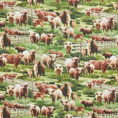 Novelty - Highlands Cows Multi Yardage