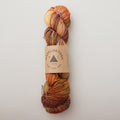 Madelinetosh Tosh DK Yarn - Auburn Afternoon Alternative View #2