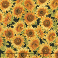 Shades of the Season 11 - Sunflowers Black Metallic Yardage