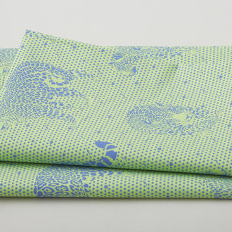 Daydreamer - Lil Jaguars Kiwi 2 Yard Cut