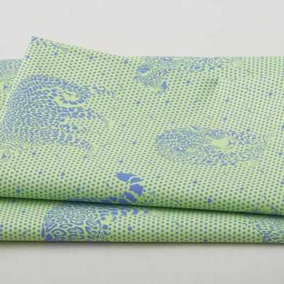 Daydreamer - Lil Jaguars Kiwi 2 Yard Cut