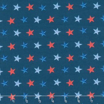 Faith, Family, Freedom - Stars of Freedom Navy Yardage Primary Image
