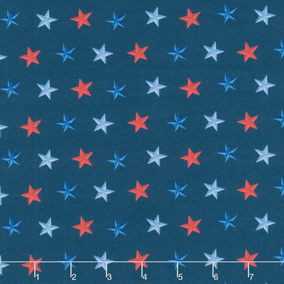 Faith, Family, Freedom - Stars of Freedom Navy Yardage
