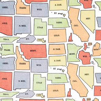 Old School - USA States OffWhite Yardage