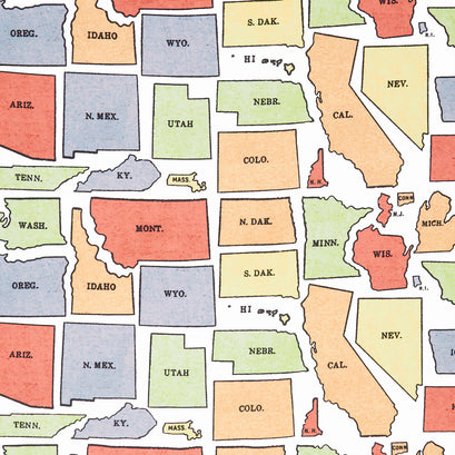 Old School - USA States OffWhite Yardage