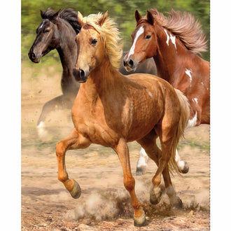 Hold Your Horses - Galloping Horses Digitally Printed Panel