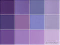 Kona Cotton - Lavender Fields Ten Squares