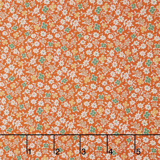 Designer Wideback - Autumn Cosmos Pumpkin 108" Wide Backing