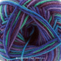 Regia Design Line Delphinium Yarn