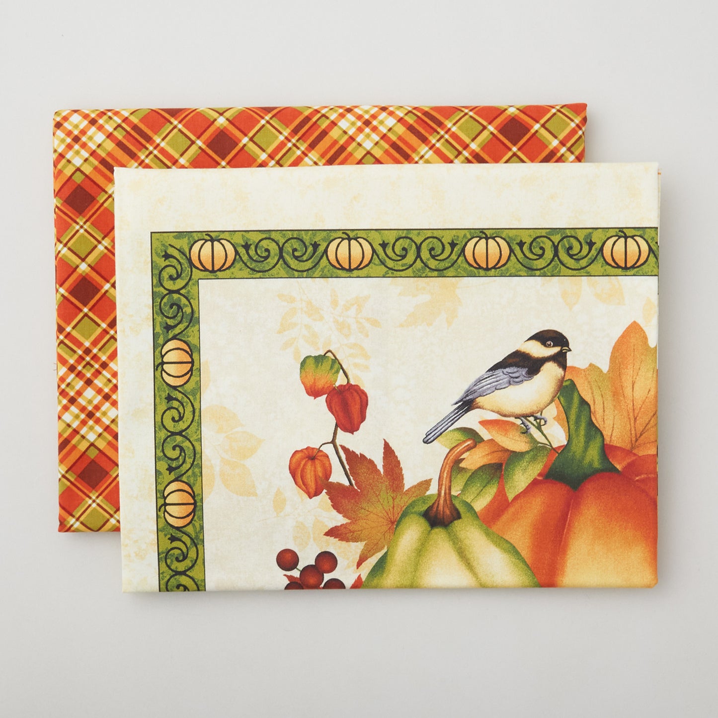 Seeds of Gratitude Placemats Kit Alternative View #5