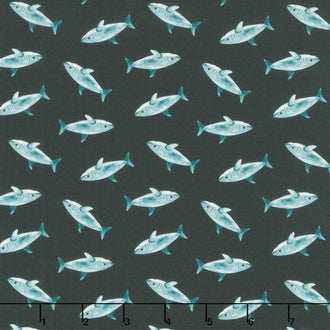 Pirates Ahoy - Sharks Black Yardage