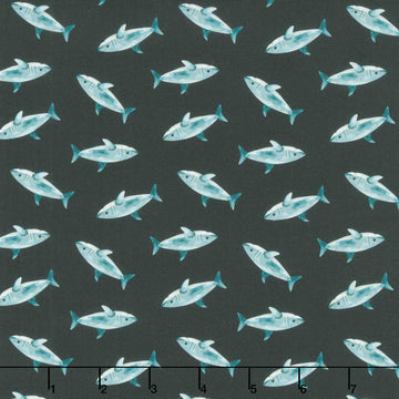 Pirates Ahoy - Sharks Black Yardage