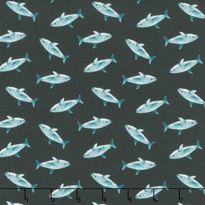 Pirates Ahoy - Sharks Black Yardage