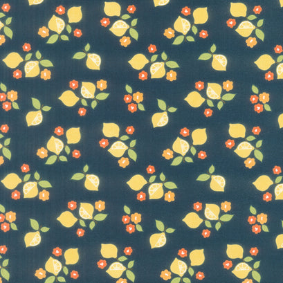 Here Comes the Sun - Citrus Midnight Yardage