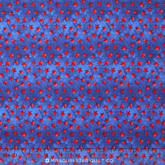 U.S.A - All The Way! - Small Stars Blue Yardage