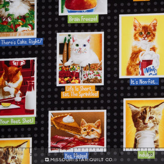 Eat, Drink and Be Funny - Black Cats Yardage