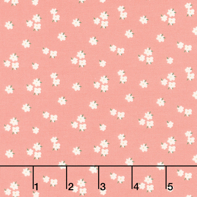 Let's Create - Flowers Coral Yardage Primary Image